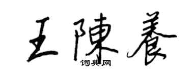 王正良王陈养行书个性签名怎么写
