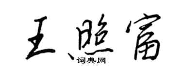 王正良王照富行书个性签名怎么写