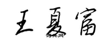王正良王夏富行书个性签名怎么写