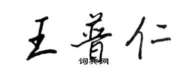 王正良王普仁行书个性签名怎么写