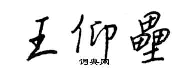 王正良王仰垒行书个性签名怎么写