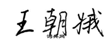 王正良王朝娥行书个性签名怎么写