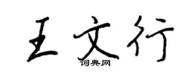 王正良王文行行书个性签名怎么写