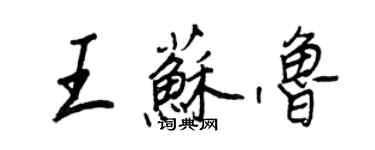 王正良王苏鲁行书个性签名怎么写