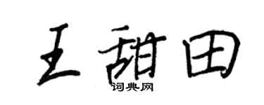 王正良王甜田行书个性签名怎么写