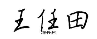 王正良王任田行书个性签名怎么写