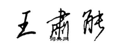王正良王肃能行书个性签名怎么写