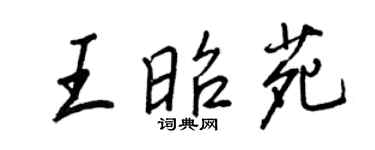 王正良王昭苑行书个性签名怎么写