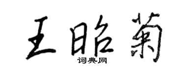 王正良王昭菊行书个性签名怎么写