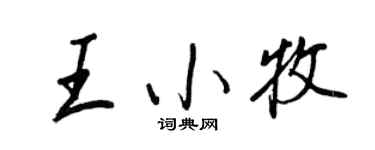 王正良王小牧行书个性签名怎么写