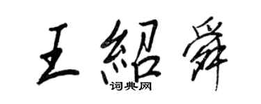 王正良王绍舜行书个性签名怎么写