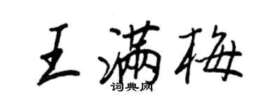 王正良王满梅行书个性签名怎么写