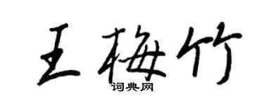 王正良王梅竹行书个性签名怎么写
