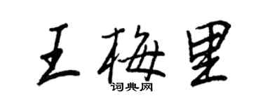 王正良王梅里行书个性签名怎么写