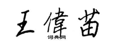 王正良王伟苗行书个性签名怎么写