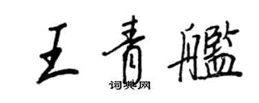 王正良王青舰行书个性签名怎么写