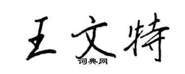王正良王文特行书个性签名怎么写
