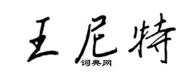 王正良王尼特行书个性签名怎么写