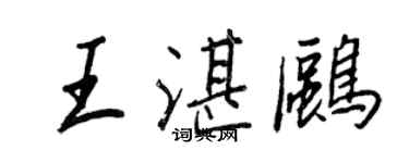 王正良王湛鸥行书个性签名怎么写