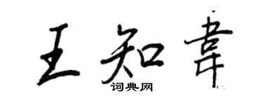 王正良王知韦行书个性签名怎么写