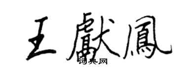 王正良王献凤行书个性签名怎么写