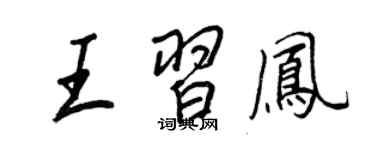 王正良王习凤行书个性签名怎么写