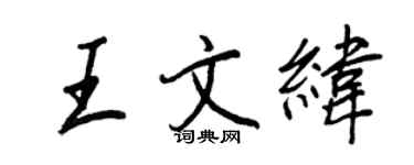王正良王文纬行书个性签名怎么写