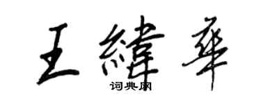 王正良王纬华行书个性签名怎么写