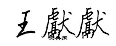 王正良王献献行书个性签名怎么写