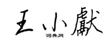 王正良王小献行书个性签名怎么写