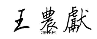 王正良王农献行书个性签名怎么写