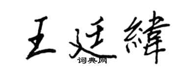 王正良王廷纬行书个性签名怎么写