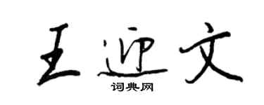 王正良王迎文行书个性签名怎么写