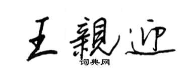王正良王亲迎行书个性签名怎么写