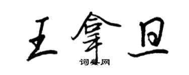 王正良王拿旦行书个性签名怎么写
