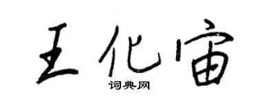 王正良王化宙行书个性签名怎么写