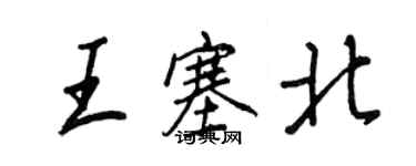 王正良王塞北行书个性签名怎么写