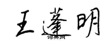 王正良王蓬明行书个性签名怎么写
