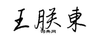 王正良王朕东行书个性签名怎么写