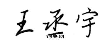 王正良王丞宇行书个性签名怎么写