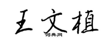 王正良王文植行书个性签名怎么写