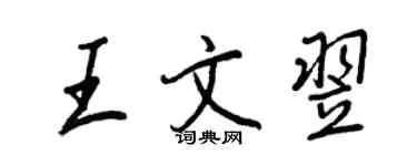 王正良王文翌行书个性签名怎么写