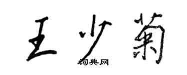 王正良王少菊行书个性签名怎么写