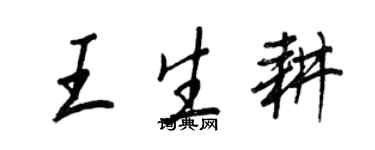 王正良王生耕行书个性签名怎么写