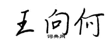 王正良王向何行书个性签名怎么写