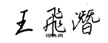 王正良王飞潜行书个性签名怎么写