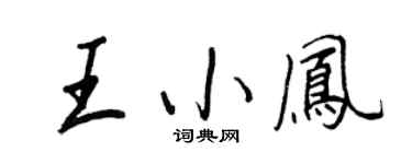 王正良王小凤行书个性签名怎么写