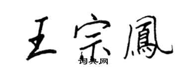王正良王宗凤行书个性签名怎么写