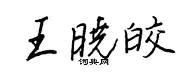 王正良王晓皎行书个性签名怎么写