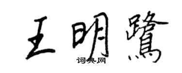 王正良王明鹭行书个性签名怎么写